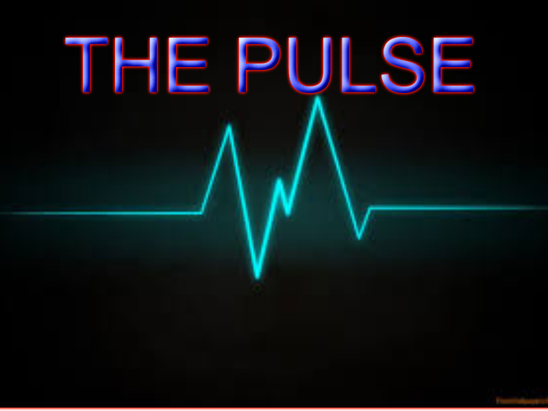 View (The Pulse) Artist Profile