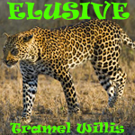 Elusive E.P. -> Various Electronica Dance